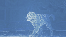 Landseer Asset Management